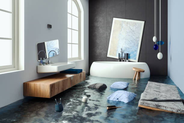Best Basement water damage restoration  in Williston Highlands, FL