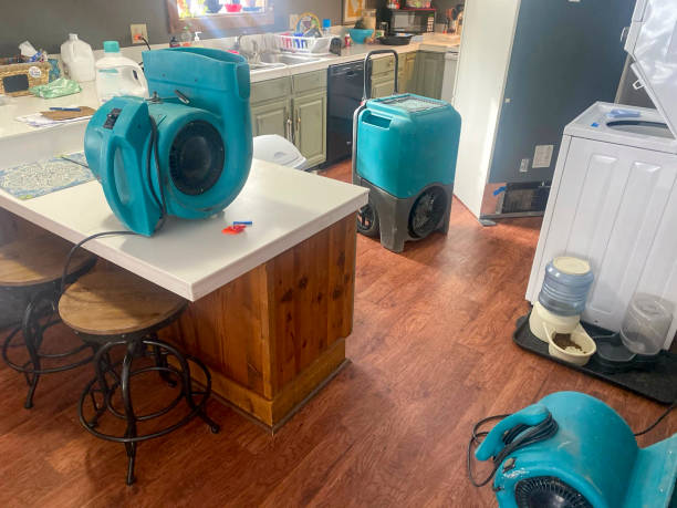 Best Water damage mitigation services  in Williston Highlands, FL