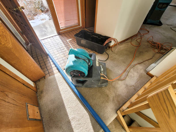 Water damage restoration experts in Williston Highlands, FL