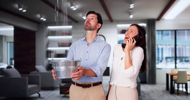 Best Water damage restoration near me  in Williston Highlands, FL